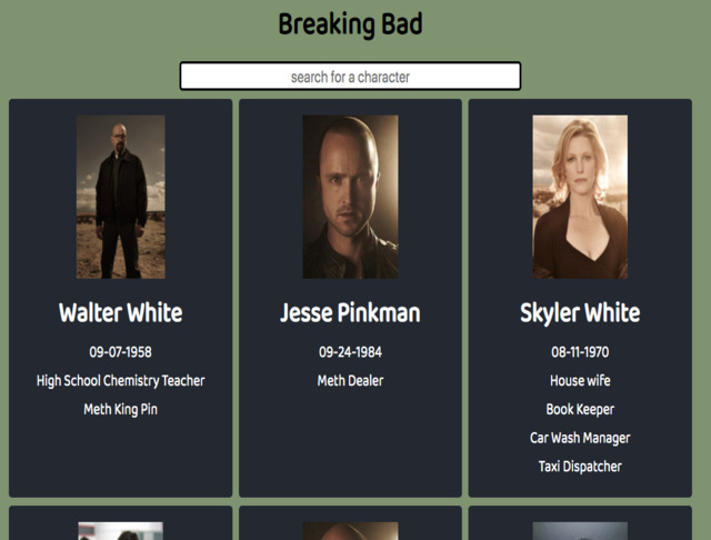 breaking bad project